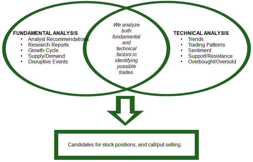 Our Investment Process